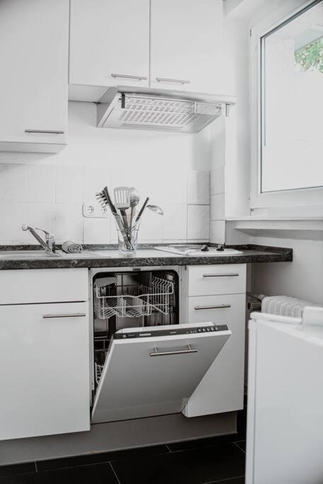 Wiesbaden - Apartment Im Nerotal Kültér fotó